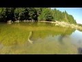 Monster Pike Jumps by Nature Freakz