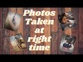 Top 10 AMAZING PICTURES Taken at right moment and angle....