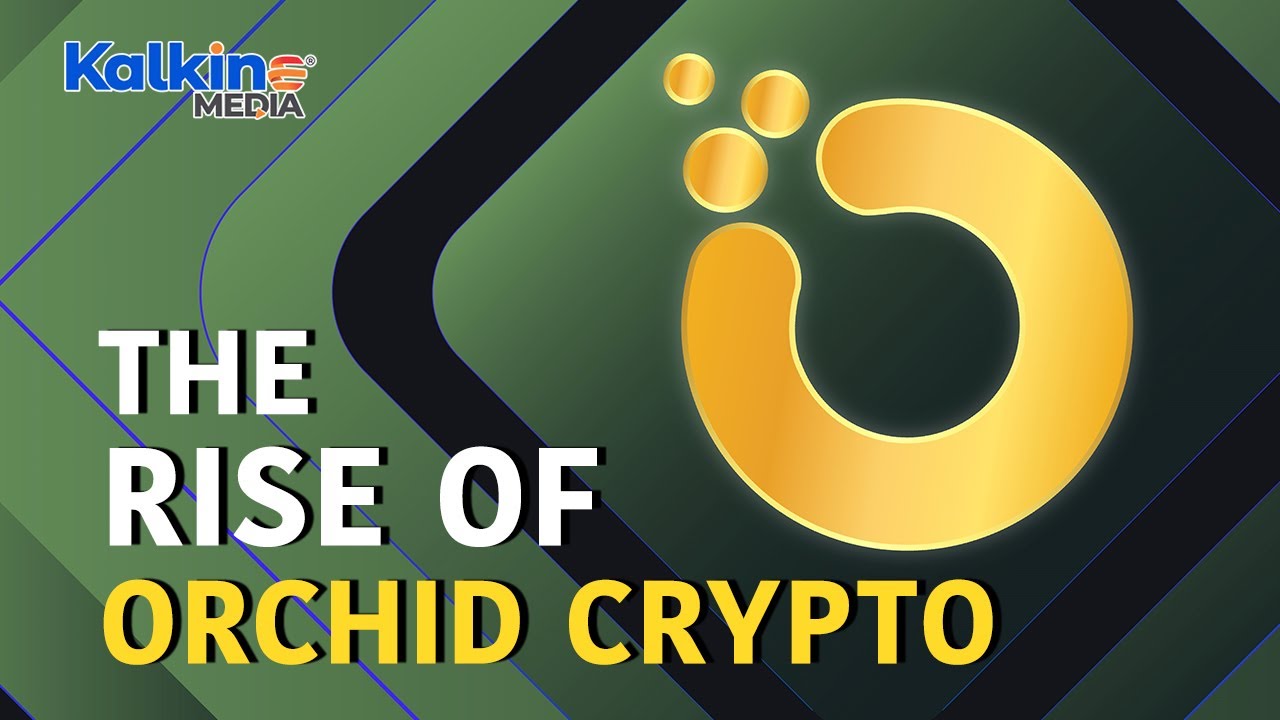 Why was the Orchid (OXT) crypto rising in a crashing market?