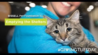 BISSELL Pet Foundation is Emptying the Shelters