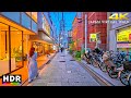 Tokyo Todoroki, Sunset to Night Walk in Setagaya-ku, Japan • 4K HDR