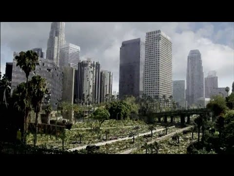 Video: Kapan Kota Akan Menjadi Hutan? - Pandangan Alternatif