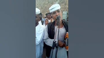 ودالرهد 