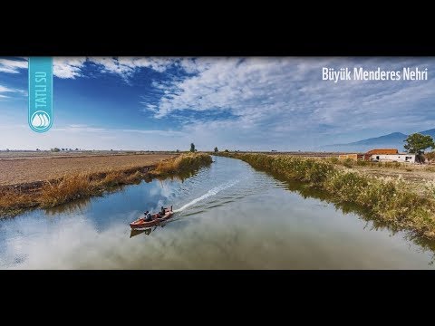 2018 WWF-Türkiye için nasıl geçti?