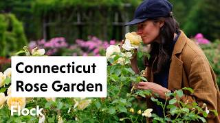 ROSE & PERENNIAL GARDENS: Elizabeth Park Tour — Ep. 317
