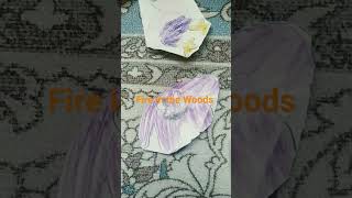 Garten Of Banban 4 Ost Fire In The Woods