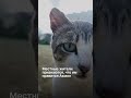 Почему из этого пригорода Астаны не хотят уезжать?