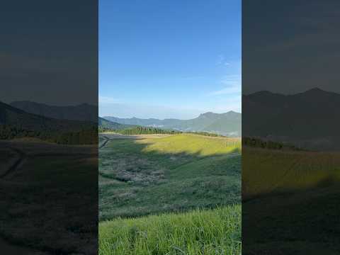 【曽爾高原】倶留尊山　亀山　ススキ広がる草原　清々しい朝　曽爾村