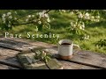 Leaves in the breeze. Coffee still warm. ☕ Pure Serenity Music