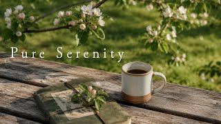 Leaves in the breeze. Coffee still warm. ☕ Pure Serenity Music