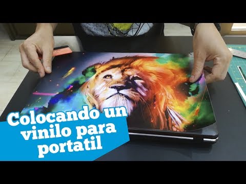 Video: ¿Cómo protejo las pegatinas de mi portátil?