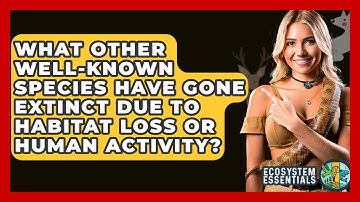 What Other Well-known Species Have Gone Extinct Due To Habitat Loss Or Human Activity?