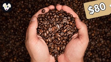 The Pricey Secret of Single-Origin Coffee | So Expensive