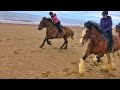 Cumbrian Heavy Horses Beach Ride By Drone & GoPro HD