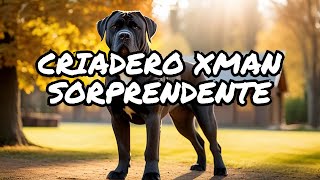 ¿Sabías que? Visita sorprendente al criadero XMAN Cane Corso