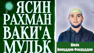 Сура  ЯСИН, РАХМАН, ВАКИ'А, МУЛК  Аямуддин Фахруддин слушайте каждый день прекрасное чтение