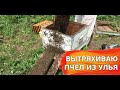 Вытряхиваю пчел из улья на своей пасеке в лесу