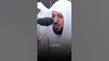 تلاوة من القرآن الكريم بصوت الشيخ ماهر المعيقلي | سورة الأعلى من آية ٨ إلى آية ١٣ | تلاوة رائعة