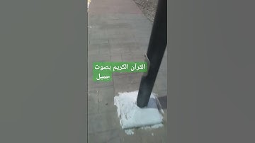 القرآن الكريم بصوت جميل #قرآن #اكسبلور #تيك_توك #اكسبلورر #اكسبلورفولو #ترند #راحة_نفسية