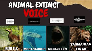 What Extinct Animals Sounded Like Real Audio