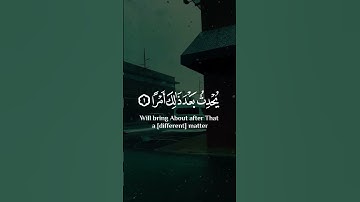 اكتب شيء تؤجر عليه ❤🦋#سورة_الطلاق #رعد_الكردي #تلاوات