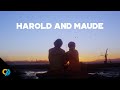 Holocaust Tattoo and the Zoom Shot in Harold and Maude | CinemaSlice