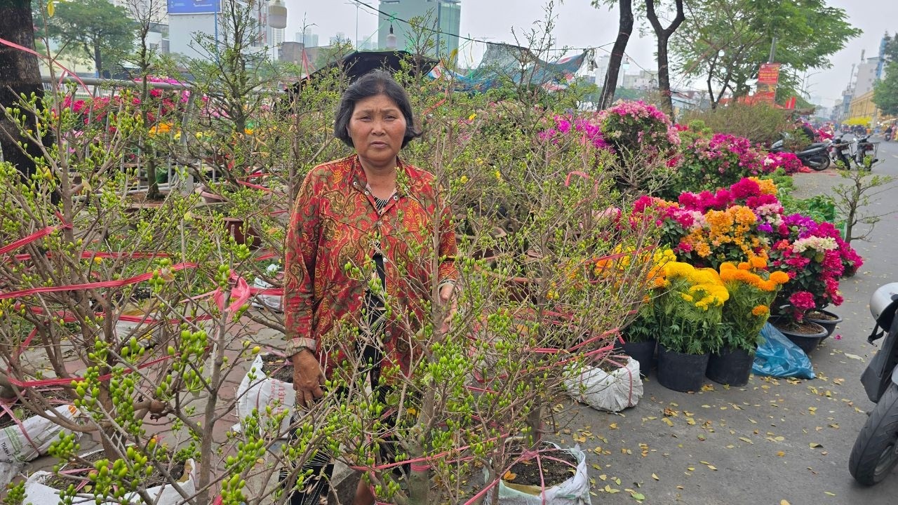 Những cây mai trinh nữ 36 cánh không còn hàng để bán, Bến Bình Đông Sài Gòn đông kín người