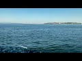 King Reynard (feat. Groovie Mane) - Don Julio || Official Music Audio + Seattle Ferry Visualz