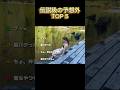 伝説級の予想外 TOP5