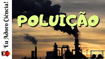 Como a poluição do ar afeta o meio ambiente?