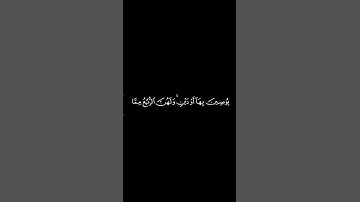 #القران_الكريم #سوره_النساء #ياسرالدوسري #كرومات نصف الايه 12