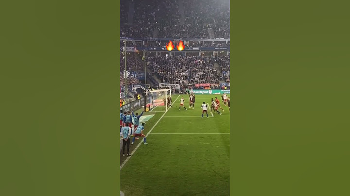 EINFACH GÄNSEHAUT 🔥🔥🔥🔥 #bundesliga2 #hsv
