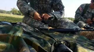 Spring FTX