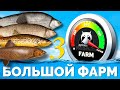 Русская Рыбалка 4 - Стрим БОЛЬШОЙ ФАРМ #3 Тунгуска