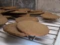 Moravian Spice Cookies