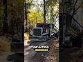Nature Meets Machine: A Lesson from the Forest Trail| #shorts #shortvideos