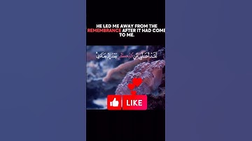 تلاوة عطرة #viral #القران_الكريم #foryou #duet #follow #nature #animals #fyp