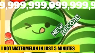 🍉 Fastest record in Watermelon Go - Roblox | how to get watermelon quickly | Fruit Game