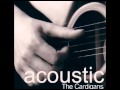 The Cardigans Acoustic