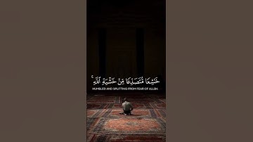 سورة الحشر ♥️ ياسر الدوسري.  #سورة_الحشر #ياسر_الدوسري #قرآن