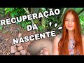 RECUPERAÇÃO DA NASCENTE NA CHÁCARA - Ep.1 [Vlog]