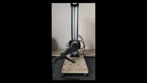 Wolfie quadruped single leg test