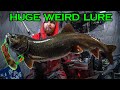 I caught a huge lake trout with the weirdest lure ever ice fishing arctic canada