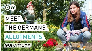 Allotments: Why the Germans love their garden colonies | Meet the Germans