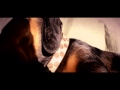 Capture de la vidéo Misty's Big Adventure - Just Another Day (Dog Edition)