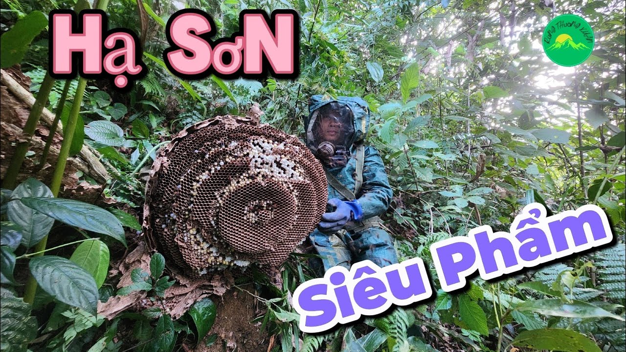 Суперпродукт Down - Из темного леса