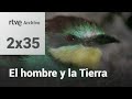 El hombre y la tierra: Capítulo 53 - El abejaruco I | RTVE Archivo