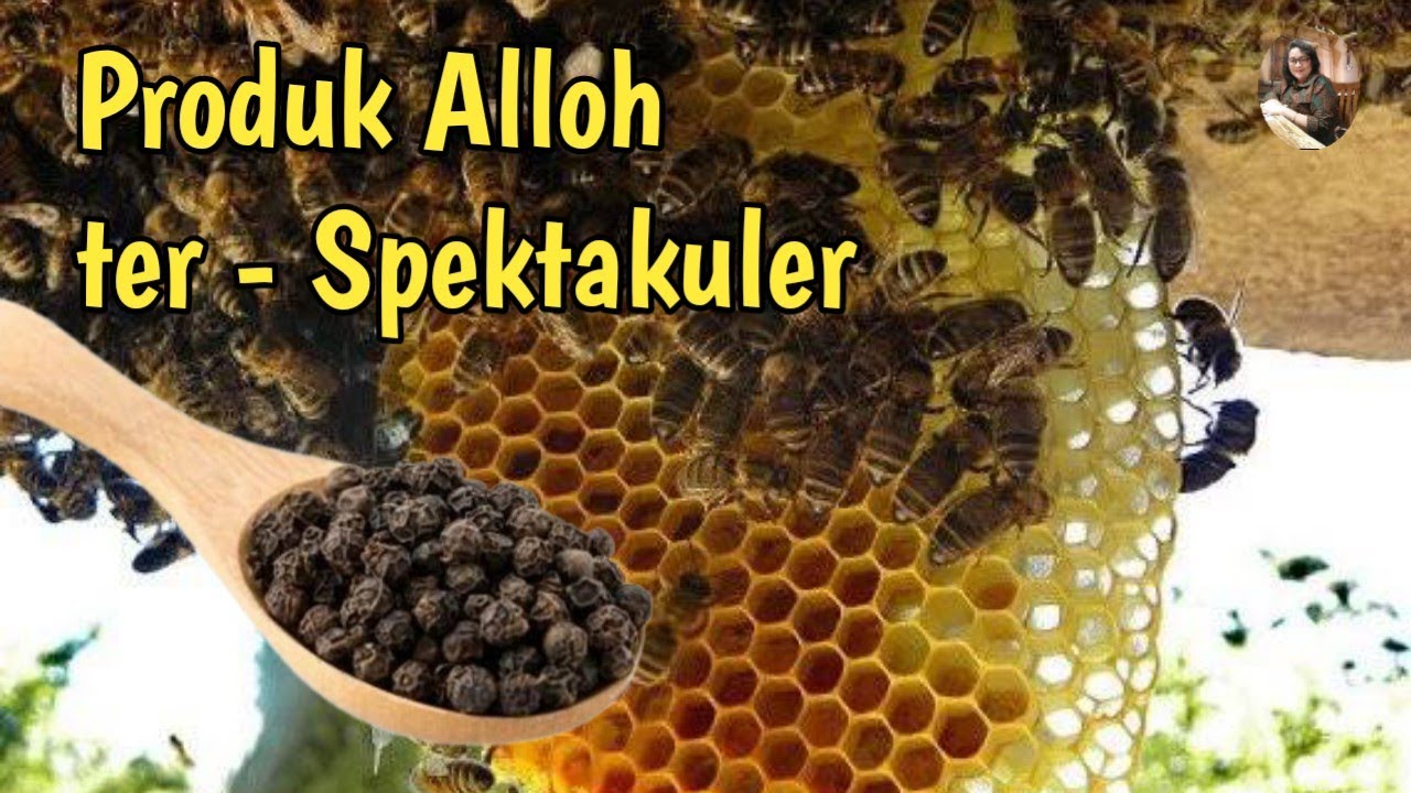 Khasiat Lada Hitam Campur Madu 