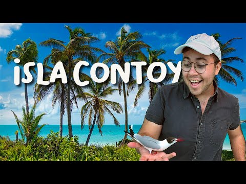 ¡La Isla De Las Aves En El Caribe, Isla Contoy!