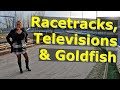 Racetracks, Televisions &amp; Goldfish